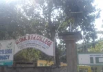 Global College of education